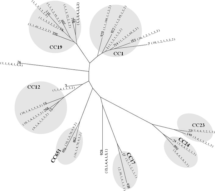 FIGURE 2