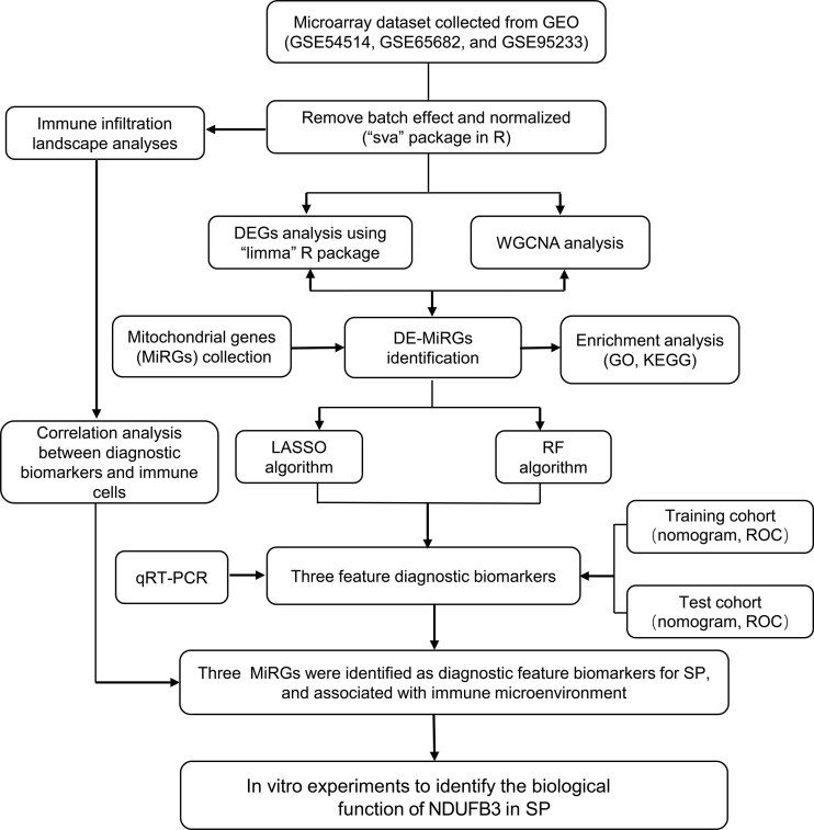 Figure 1