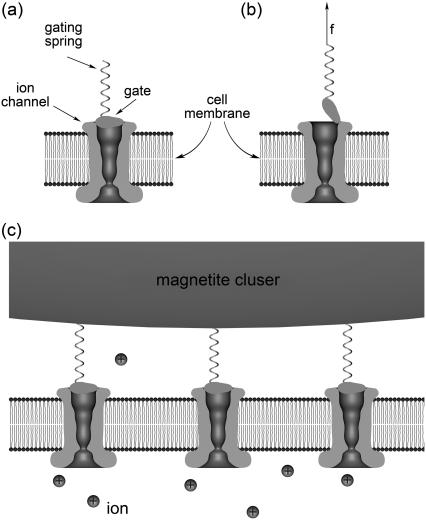 FIGURE 9