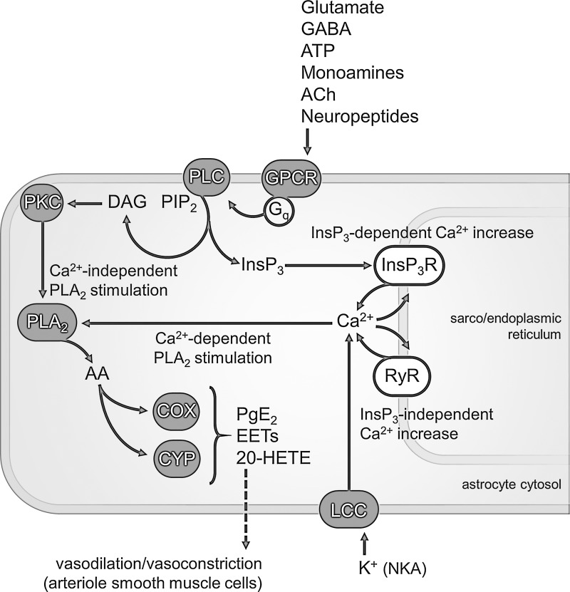 Fig. 1.