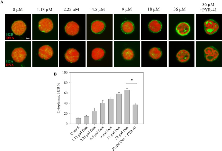 Fig 4