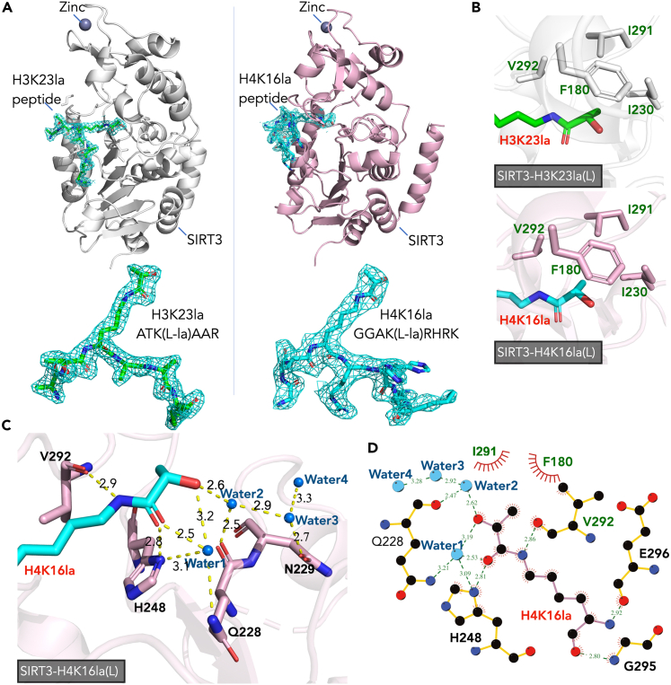 Figure 2