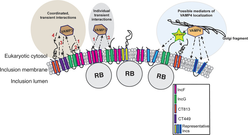 FIG 6