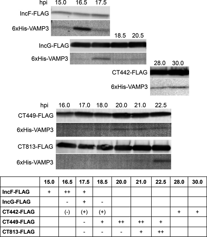 FIG 4