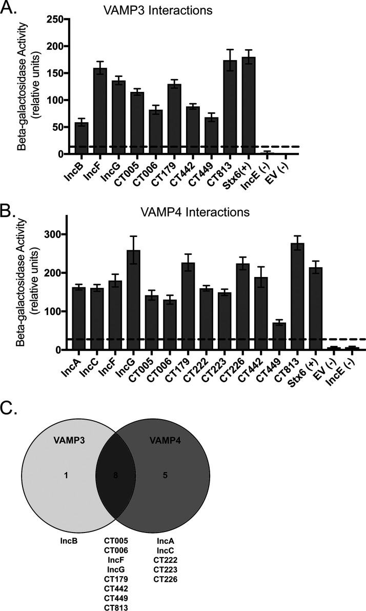 FIG 3