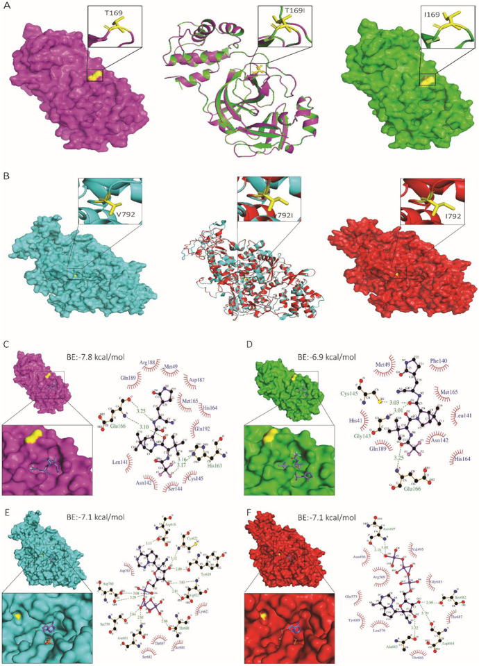 Fig. 4: