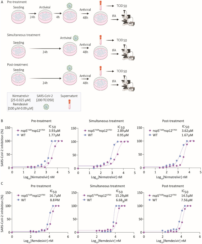 Fig. 2: