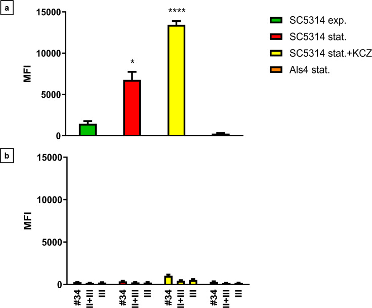 Two bar graphs display MFI data. First graph plots significantly higher MFI in the SC5314 stat.+ KCZ condition compared with other conditions. Second graph depicts minimal MFI across various controls.