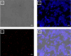 Fig 12