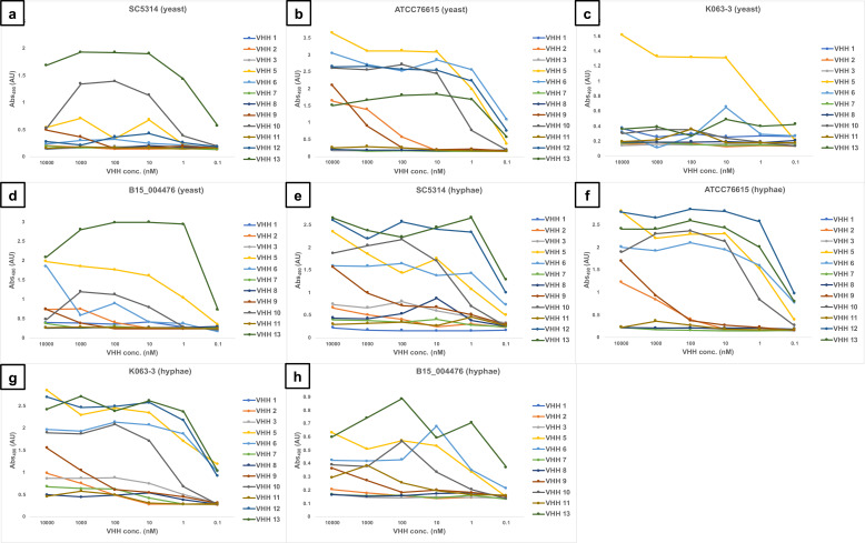 Line graphs plot absorbance at various VHH antibody concentrations against yeast and hyphal forms of Candida strains (SC5314, ATCC76615, K063-3, and B15_004476). Each graph displays the binding affinity of VHH 1-13 across samples.