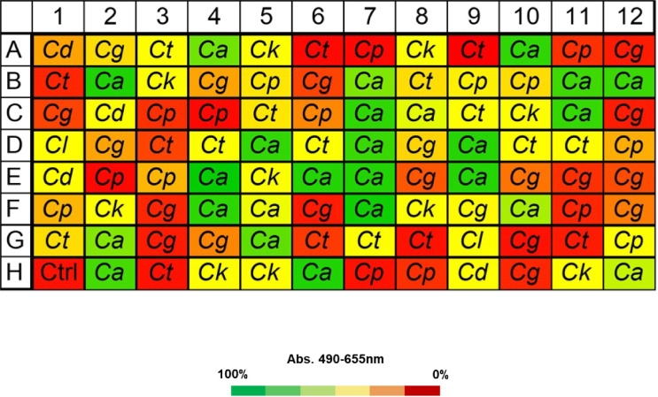 Heatmap grid depicts absorbance values for VHH19 binding to different Candida species labeled with abbreviations. Colors range from high binding (green) to low binding (red).