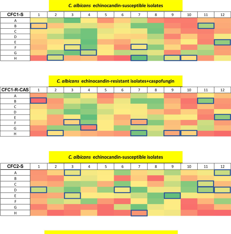 Heatmaps display whole cell ELISA absorbance data for Candida albicans isolates (echinocandin-susceptible and -resistant strains with or without caspofungin). Color reflects VHH binding, green indicates strong binding, clones selected outlined in blue.