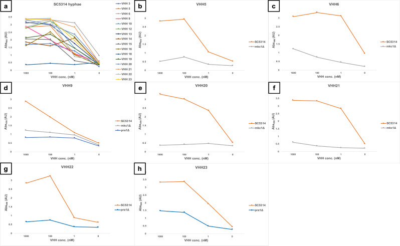 Eight line graphs depict the binding of different VHHs to C. albicans hyphae of reference strain SC5314 or mkc1 or pra1 mutants. The graphs indicate lower binding of specific VHH to the mutants compared to reference strain.