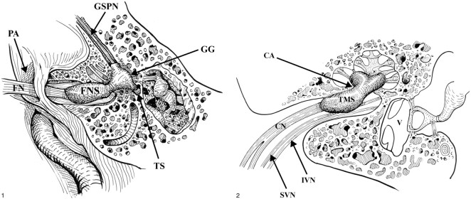 fig 1.