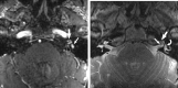 <sc>fig</sc> 6.
