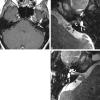 <sc>fig</sc> 4.