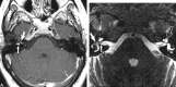 <sc>fig</sc> 5.