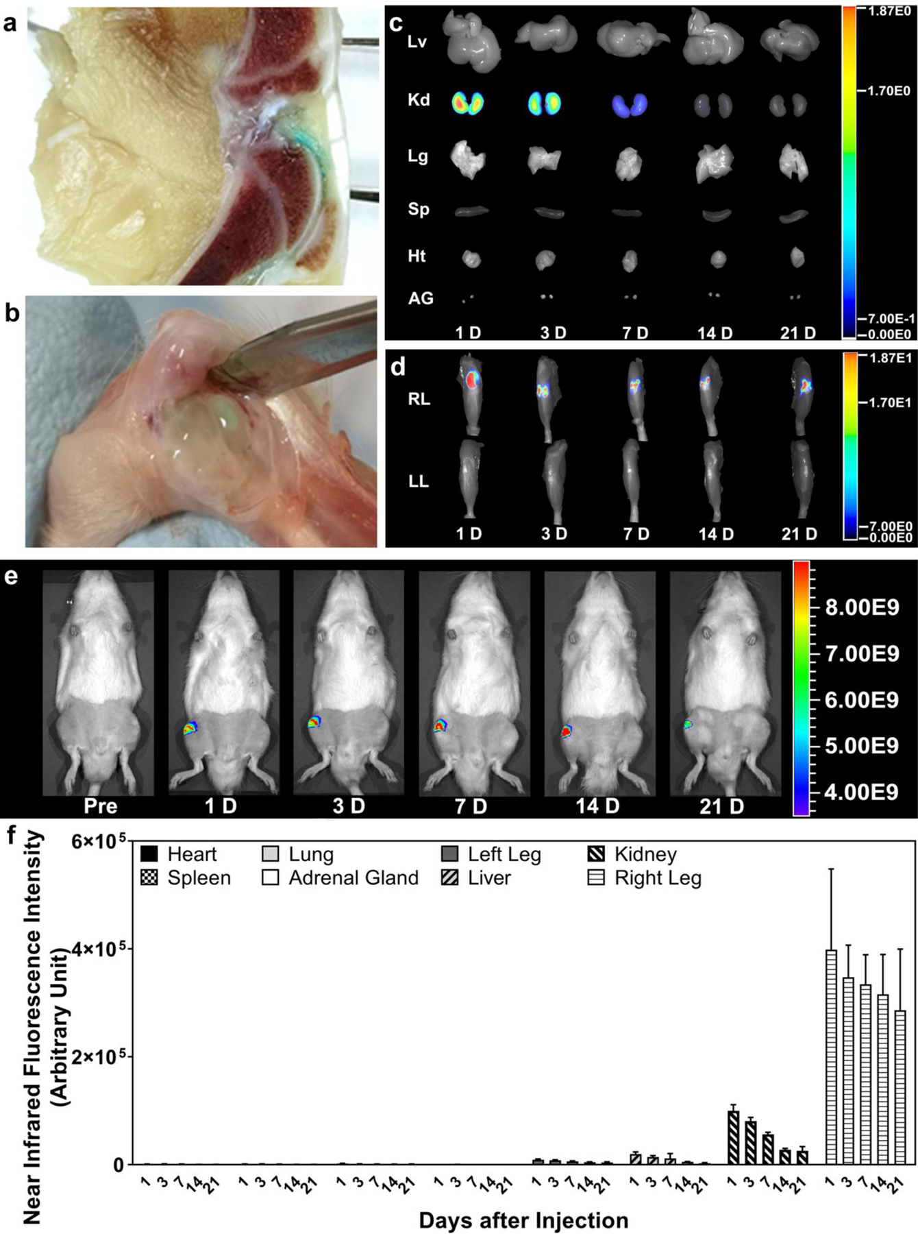 Figure 4.