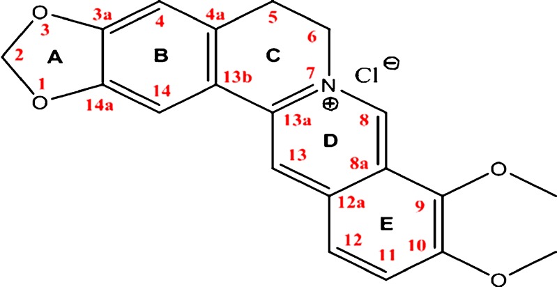 Fig. 1