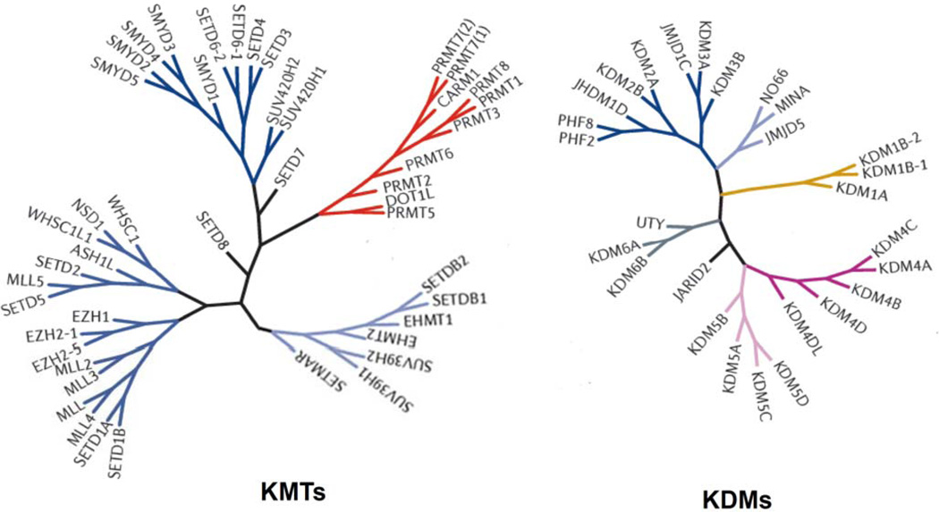 Fig 2