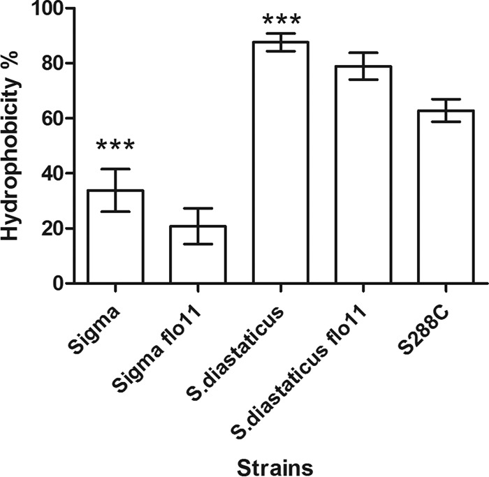 FIG 2 