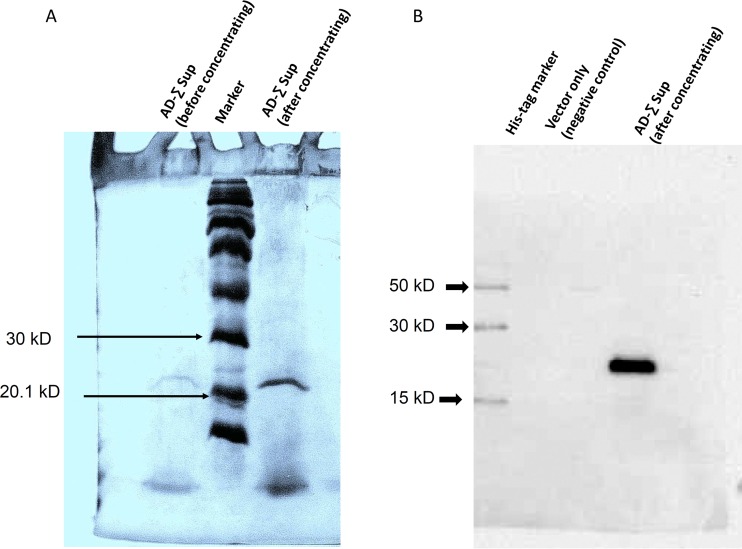 FIG 4 