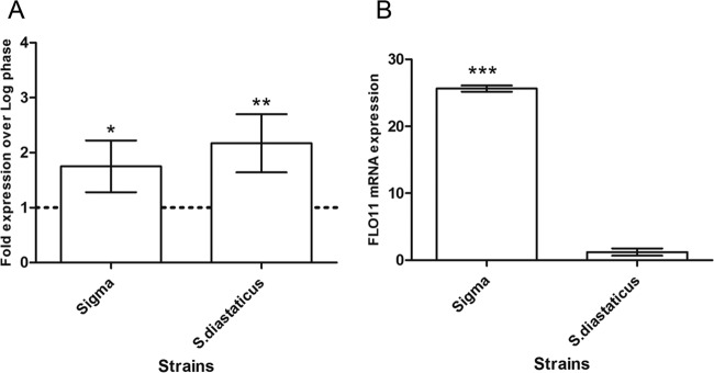 FIG 1 