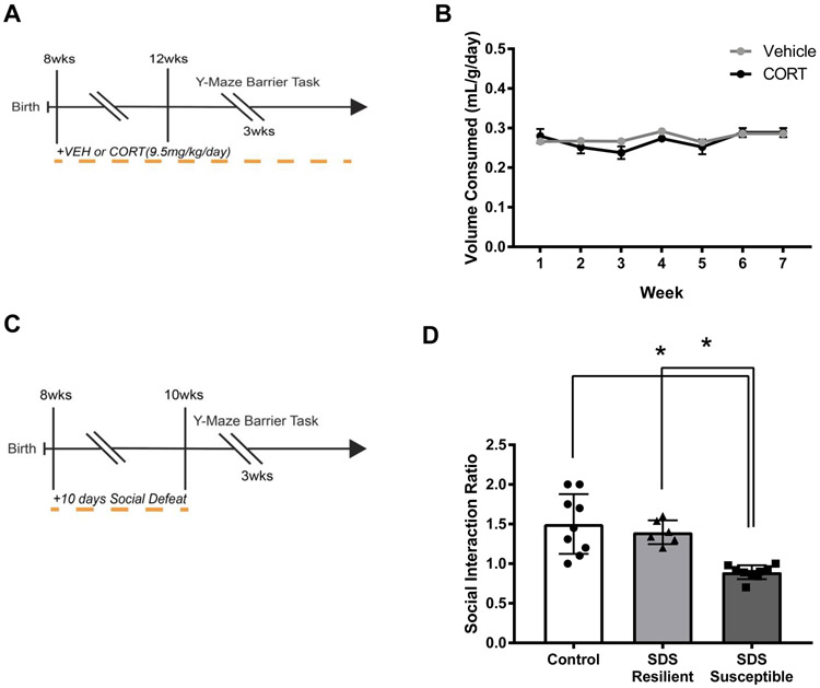Chronic Stress Shifts Effort-Related Choice Behavior in a Y-Maze ...