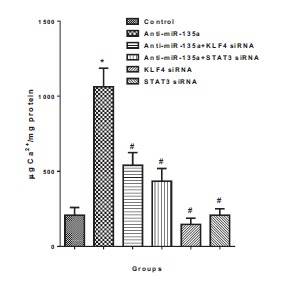 Fig. (4)