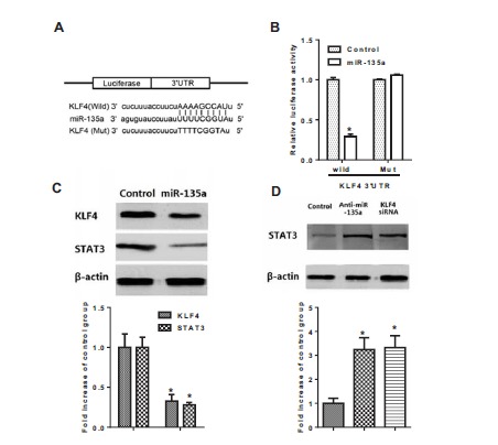 Fig. (3)