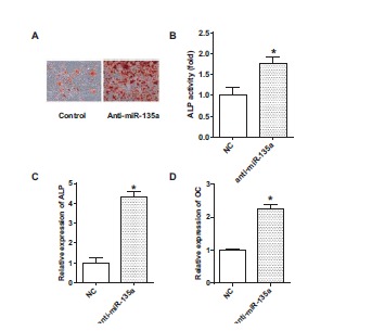 Fig. (2)