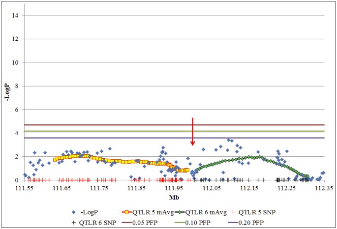 Fig 3