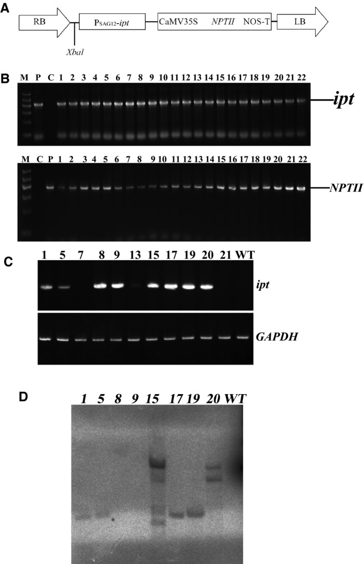 Figure 4