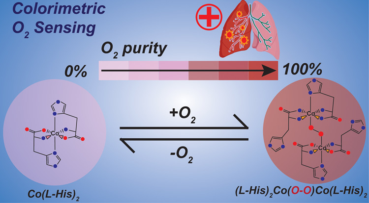 graphic file with name ao2c03904_0008.jpg