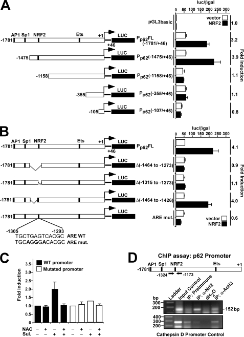 FIGURE 1.