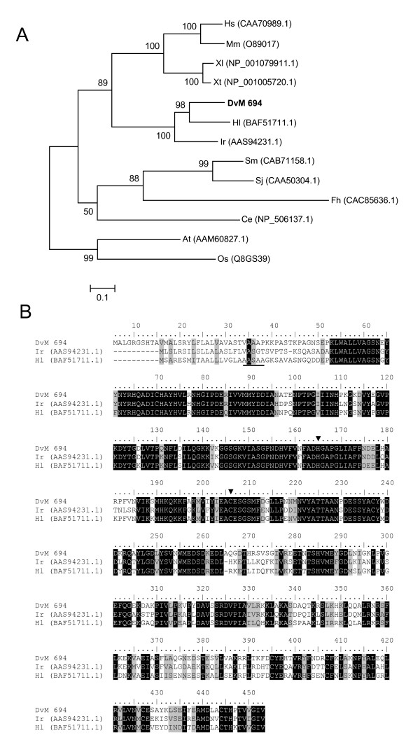 Figure 15