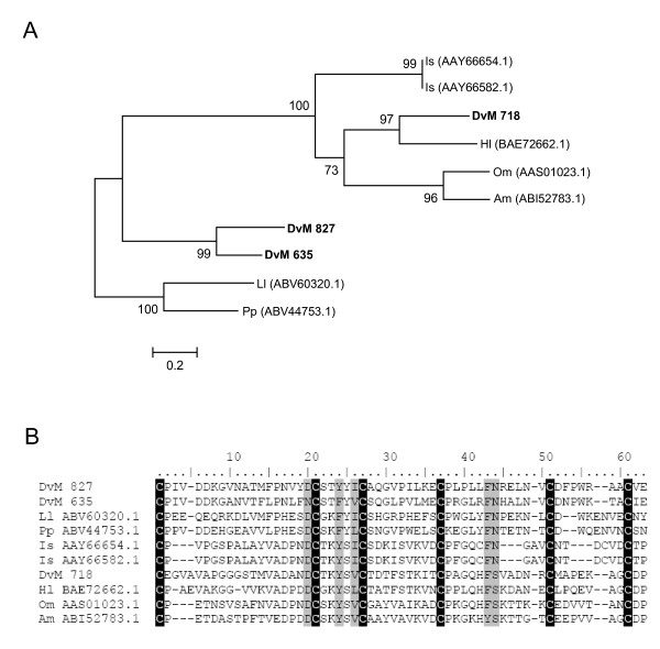 Figure 17