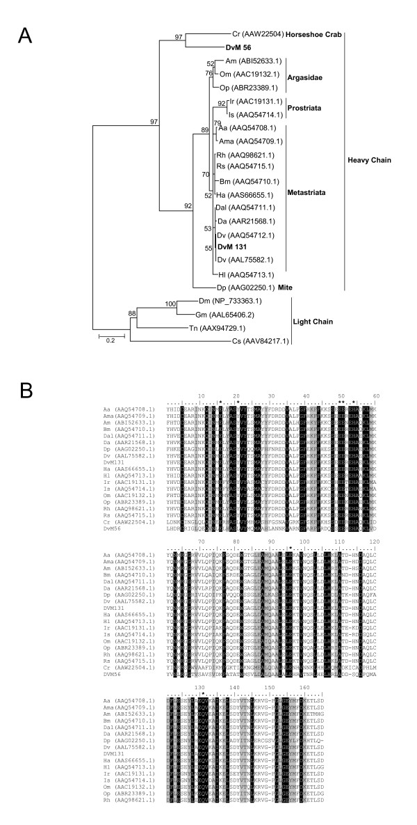 Figure 19