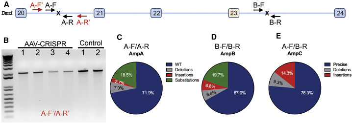 Figure 3