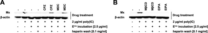 FIG 4