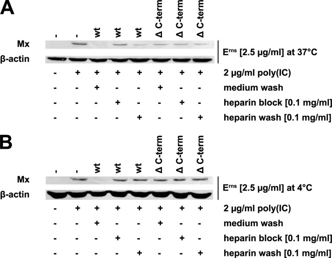 FIG 6