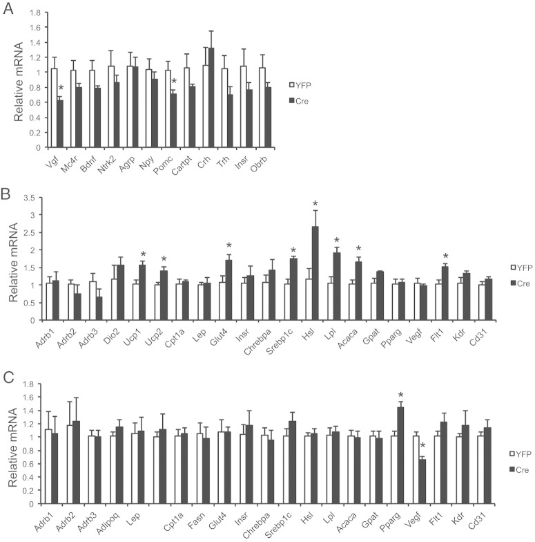 Figure 7.