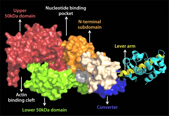 FIG 23