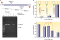 FIG 22