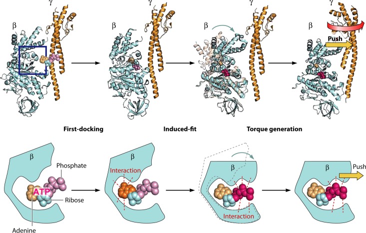 FIG 20