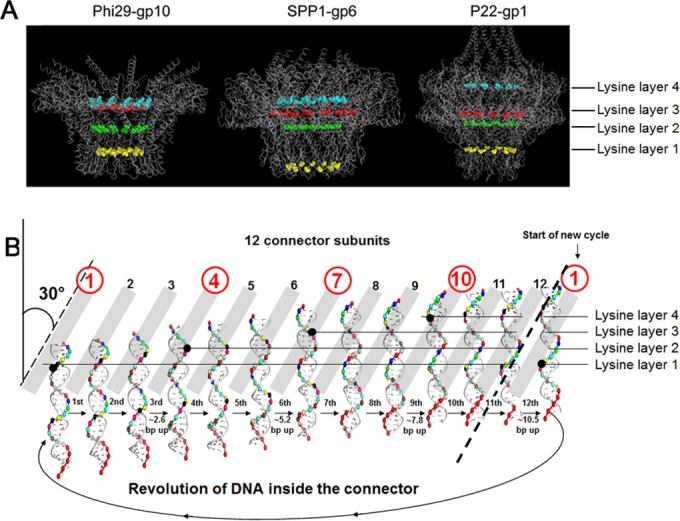 FIG 14