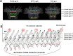 FIG 14