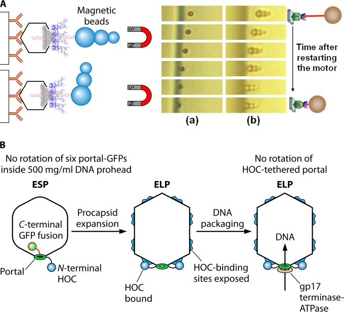 FIG 4