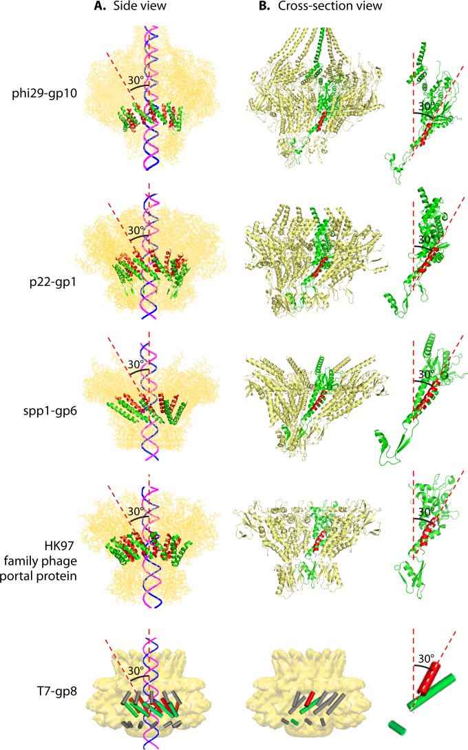 FIG 16