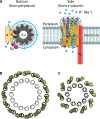 FIG 3